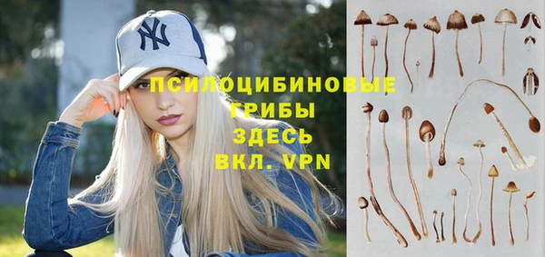 крисы Алексеевка