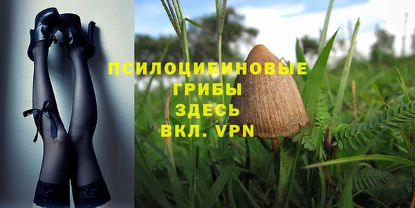 крисы Алексеевка
